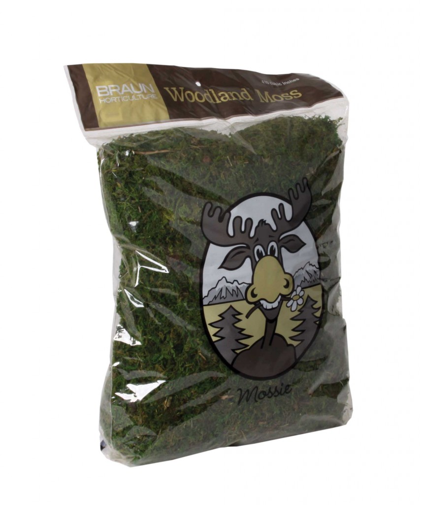 Evergreen Moss Green in a Bag, 820 cubic inch